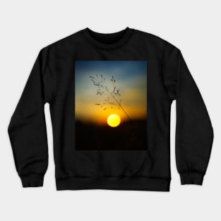 Selective focus sunset Crewneck Sweatshirt